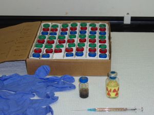 Glass serum vials (bottles in the foreground and in the box) are used to construct microcosms for laboratory biodegradation experiments. The syringe is use for injecting chemicals for testing and withdrawing samples for analysis. Radioactive labeled chemicals (vial on right) are used so reaction products can be identified