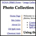 section of the home page of the photo database site.