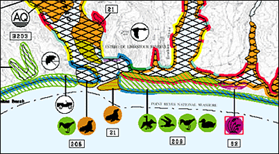 Sample Environmental Sensitivity Index map, showing part of the Point Reyes National Seashore. 