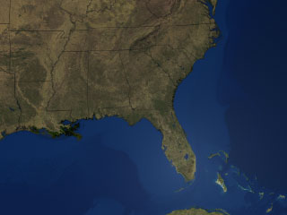 This still image shows landcover over the Southeastern US in January 2004.