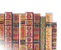 small row of books