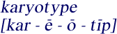 Pronounciation of 
    karyotype