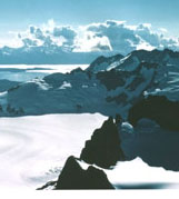 Photo of a Frozen Landscape