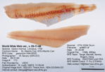 Atlantic Cod Fillet image