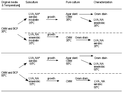 Schematic diagram of culture
procedure for low-acid canned foods