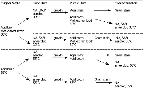 Schematic diagram of pure culture procedure for acid foods