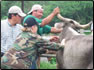 Photo Thumbnail: CAPT Clara Witt, a veterinarian, educates local farmers on the proper handling techniques of live animals.