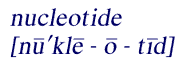 Pronounciation of 
    nucleotide