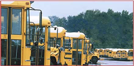 School Buses