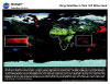 Using Satellites to Track Rift Valley Fever thumbnail