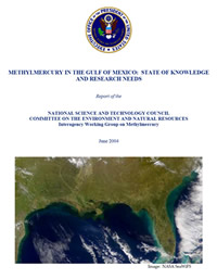 Report Cover: Methylmercury in the Gulf of Mexico - State of knowledge and reasearch needs