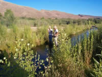 Measuring the water chemistry of Pinal Creek, Ariz., the site of an investigation of the discharge of an acidic ground-water plume to the creek