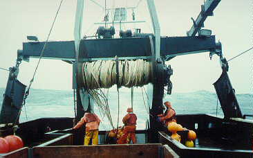 Surface trawl operations aboard the F/V Great Pacific