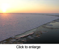 sea ice picture