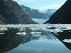 photo of glacier or iceberg