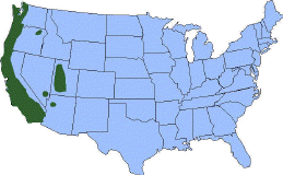 Distribution map of the western blacklegged tick