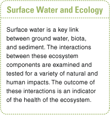 SW/Bio --> Cycle II fixed-site watersheds