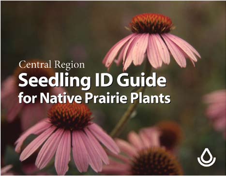 Central Region Seedling ID Guide for Native Prairie Plants Cover