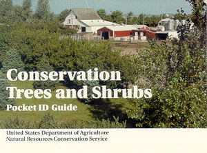 Trees and Shrubs Pocket ID Guide Cover