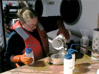 Shipboard scientist processing plankton samples