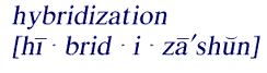 Pronounciation of 
    hybridization