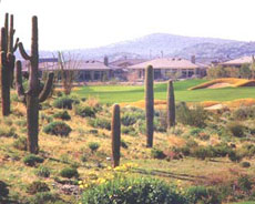 Arizona golf course with native plant landscaping.