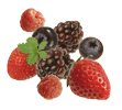 Berries Image