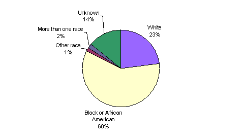 Pie Chart containing the following data...
White, 23%
Black or African American, 59%
Other race, 1%
More than one race, 2%
Unknown, 14%