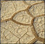 Photo: Dried and cracked  river bed