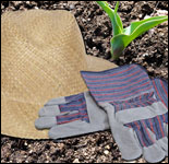 Photo: Gardening hat and gloves