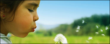 Photo: A young girl blowing on a dandelion