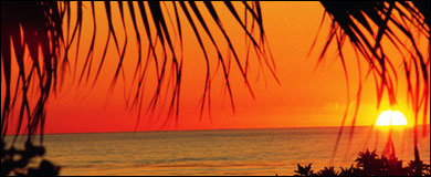 Photo: A tropical sunset