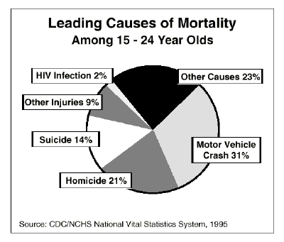 adolescent chart 1; Leading Causes of Death, 15 - 24 Year Olds
