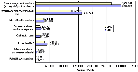 Bar Chart containing the following data...
Rehabilitation services, 11,443(2003), 2,357(2002)
Substance abuse services–residential, 36,892(2003), 14,706(2002)
Home health*, 404,985(2003), 315,807(2002)
Oral health care, 170,960(2003), 148,399(2002)
Substance abuse services–outpatient, 197,133(2003), 152,702(2002)
Mental health services, 301,860(2003), 273,938(2002)
Ambulatory/ outpatient medical care, 1,614,008(2003), 1,247,026(2002)
Case management services (among HIV positive clients), 2,988,499(2003)	2,656,951(2002)