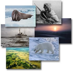 Arctic images collage