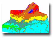 vegetation map