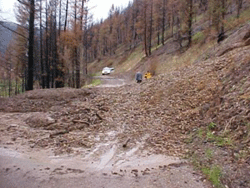 Debris flow crossing a road