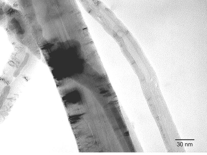 TEM image of multi-walled C nanotubes