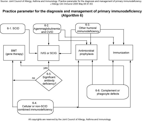 Practice parameter for the diagnosis and management of primary immunodeficiency (Algorithm 6)