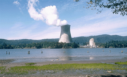 Nuclear power plant