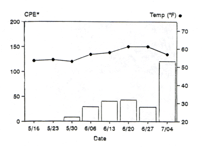 Figure 7.   Alewife availability (CPE*) at AuSable River from May to July, 1993.