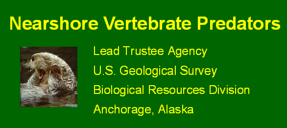 Nearshore vertebrate predator, sea otter