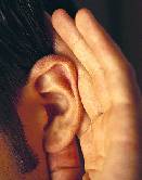 HealthDay news image for article titled: Prosthetic Ears Boost Hearing After Injury