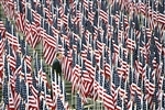 HEALING FIELD - Click for high resolution Photo