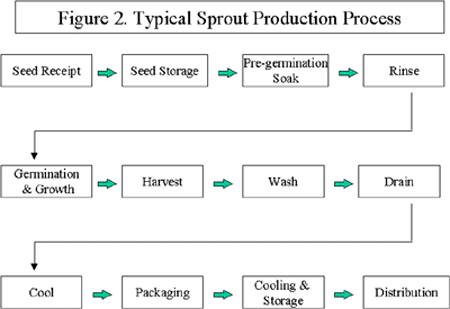 figure 2. typical sprout production
process