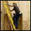 Photo: A construction worker climbing a ladder.