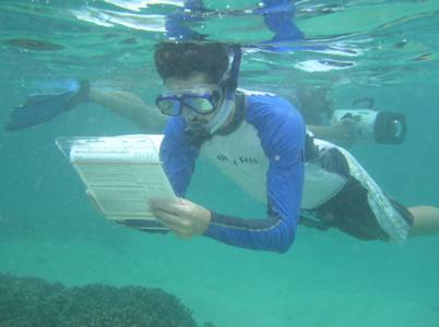 A bleaching tools workshop participant conducts a resilience survey of an American Samoan reef.