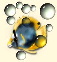 Picture of a Fish with Bubbles