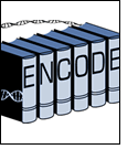 Image of Encyclopedias with the letters E N C O D E on the outside