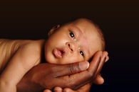 Picture of an infant gently held in hands.